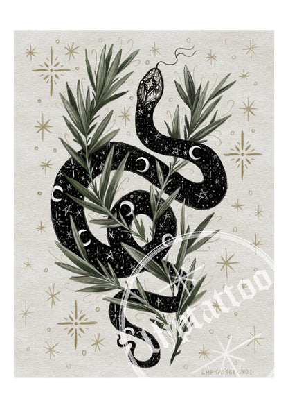 Starry Snake Print