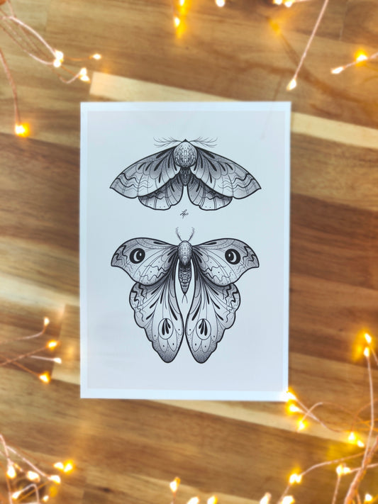 A5 Moth Print